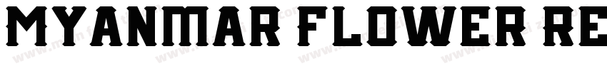Myanmar Flower Regul字体转换